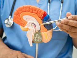 Fête de la Science au Musée des Arts et Métiers : expériences inédites du 3 au 5 octobre, découvrez le programme !