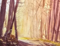 Carrefour des Arts : À la découverte de Thomas Clément