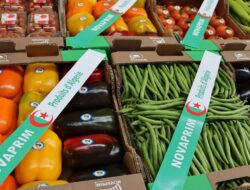 Exportations : 10 contrats pour l’agro-alimentaire algérien à Madrid